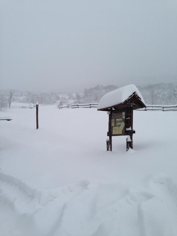 Вілла Agriturismo Il Passeggere Bruscoli Екстер'єр фото